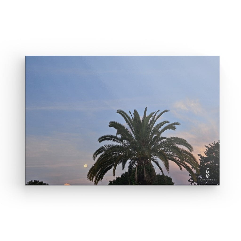 MP.24.015 Canvas