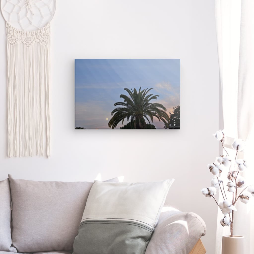 MP.24.015 Canvas