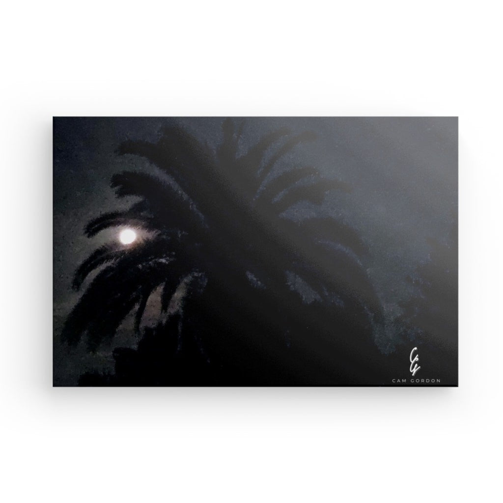MP.24.016 Canvas