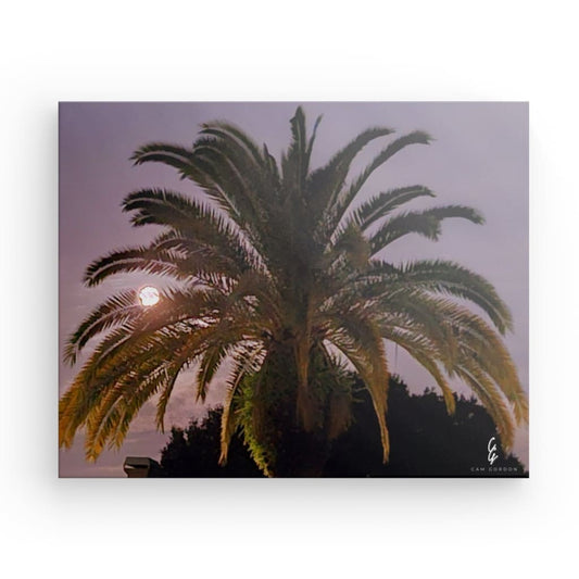 MP.24.017 Canvas
