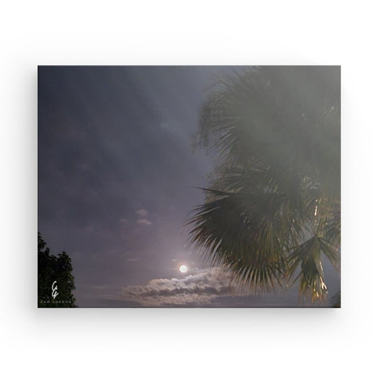 MP.24.018 Canvas