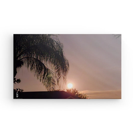 MP.24.019 Canvas