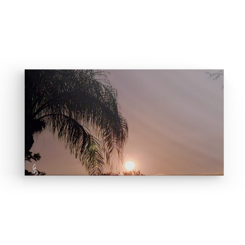 MP.24.019 Canvas