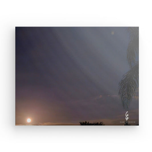 MP.24.020 Canvas
