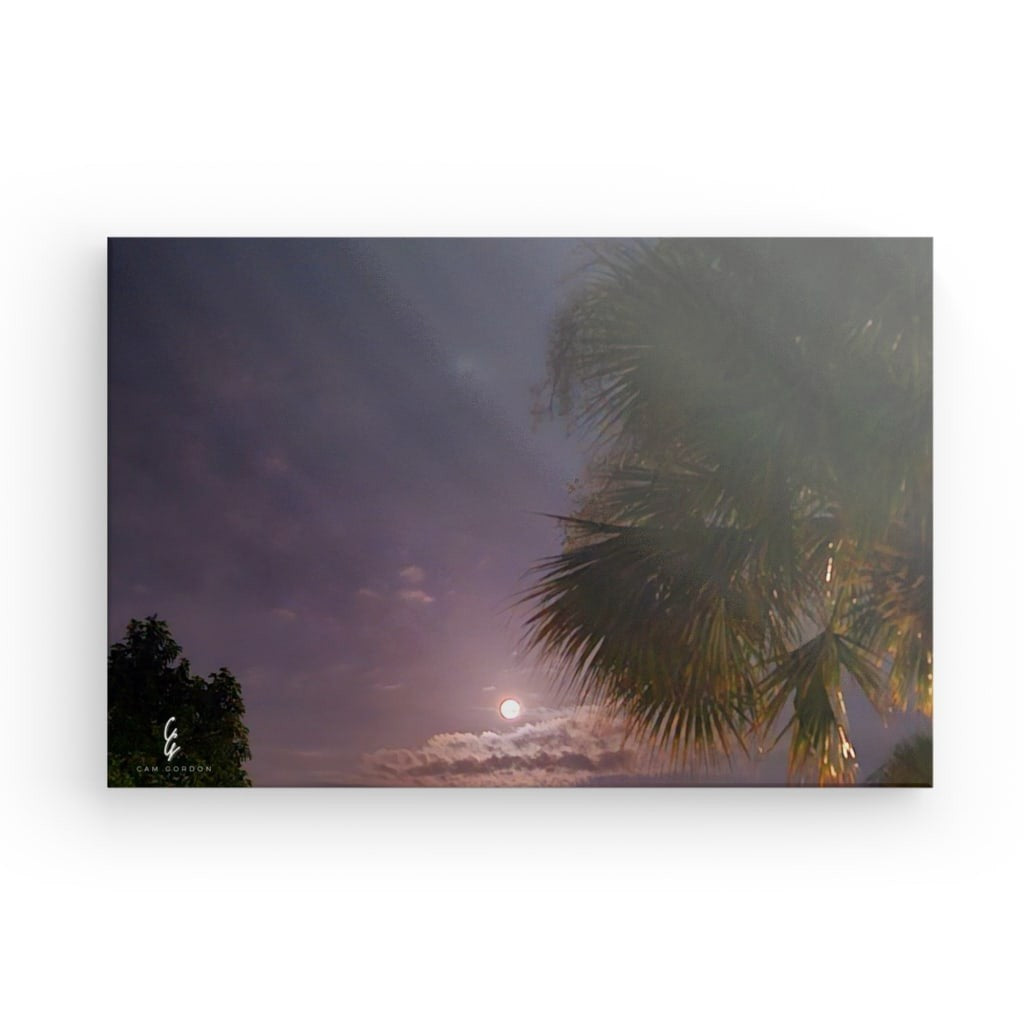 MP.24.021 Canvas