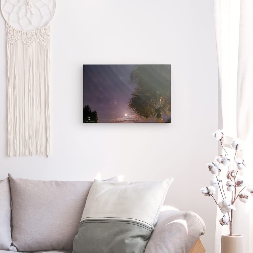 MP.24.021 Canvas