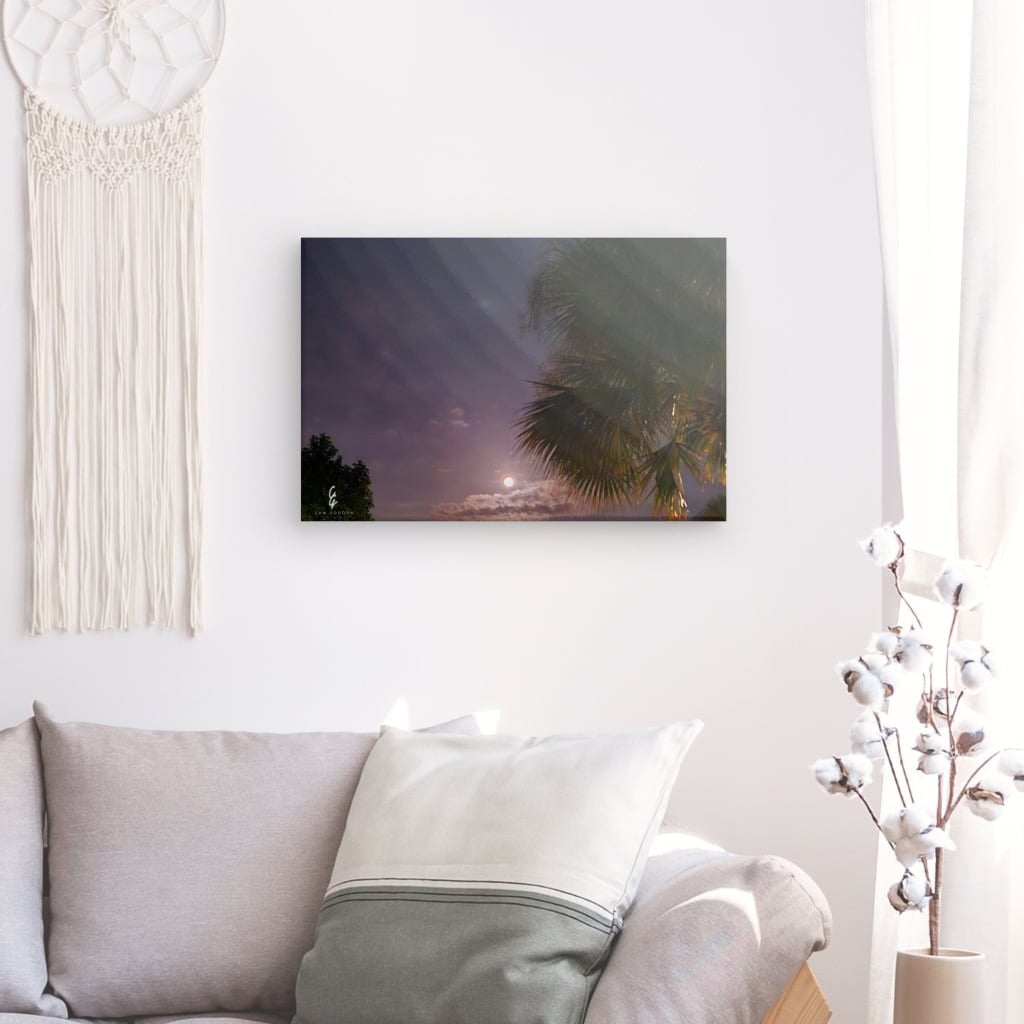 MP.24.021 Canvas