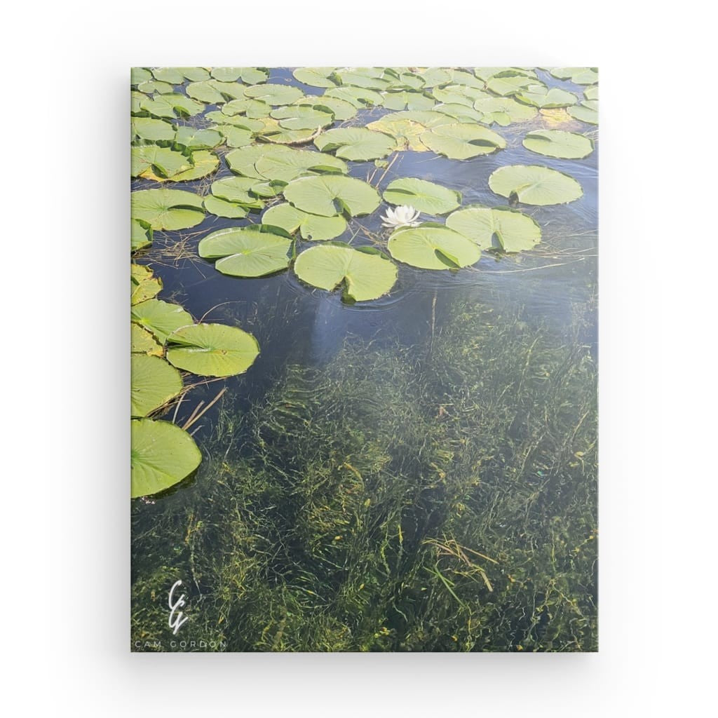 pw.24.027 Canvas