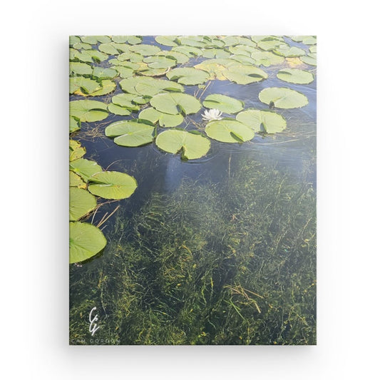 pw.24.027 Canvas