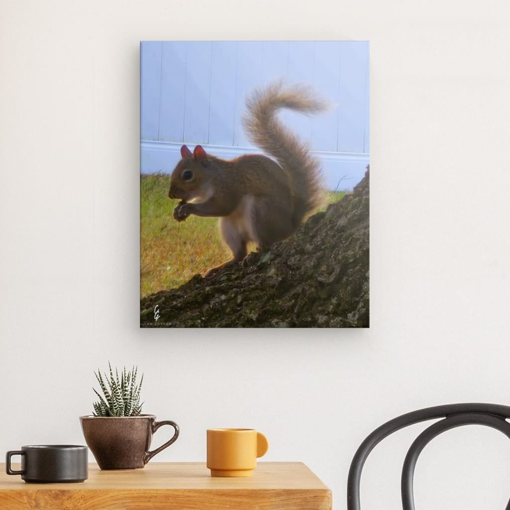 RM.25.31 Canvas