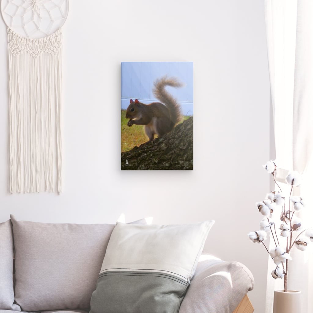 RM.25.31 Canvas