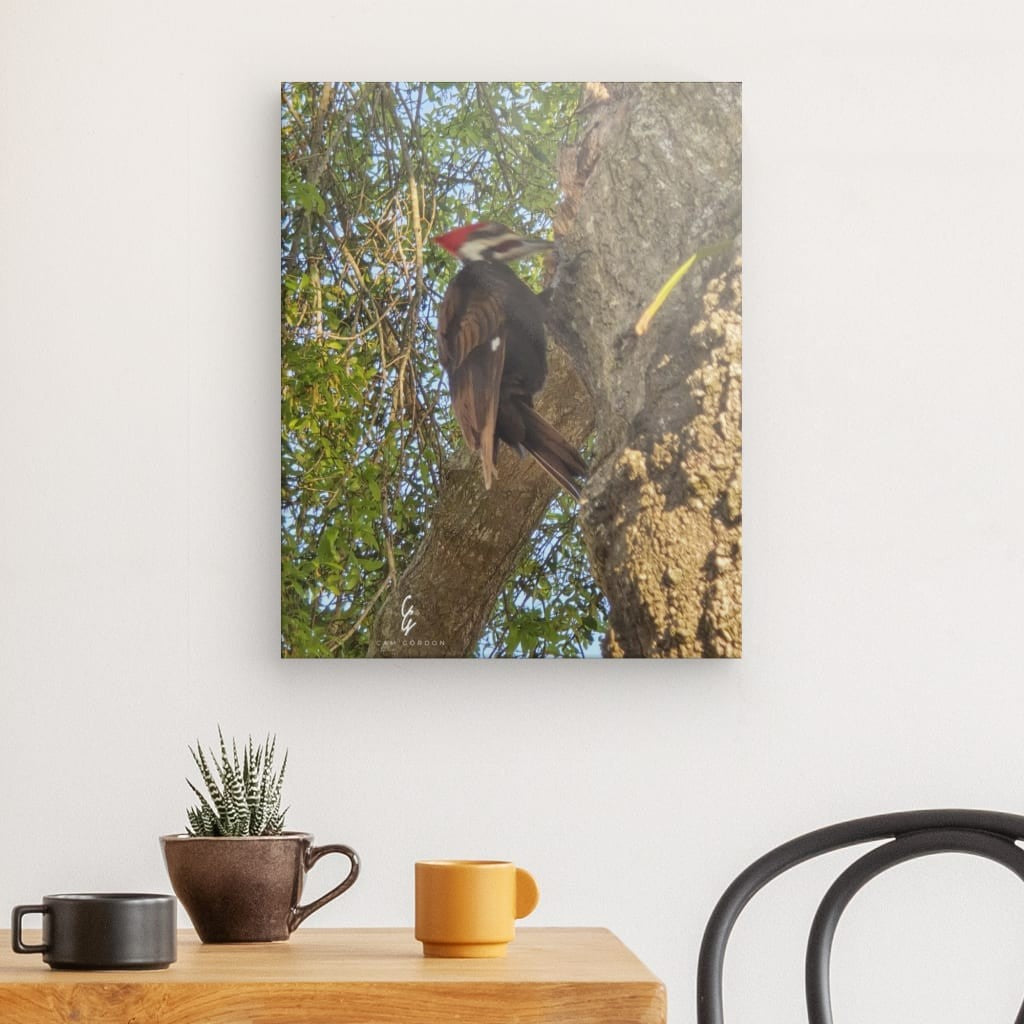 RM.25.033 Canvas