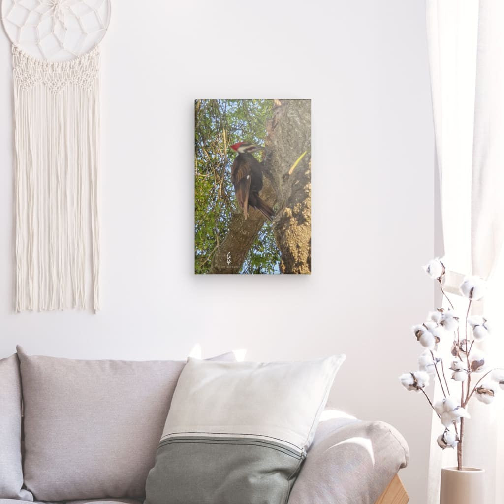 RM.25.033 Canvas