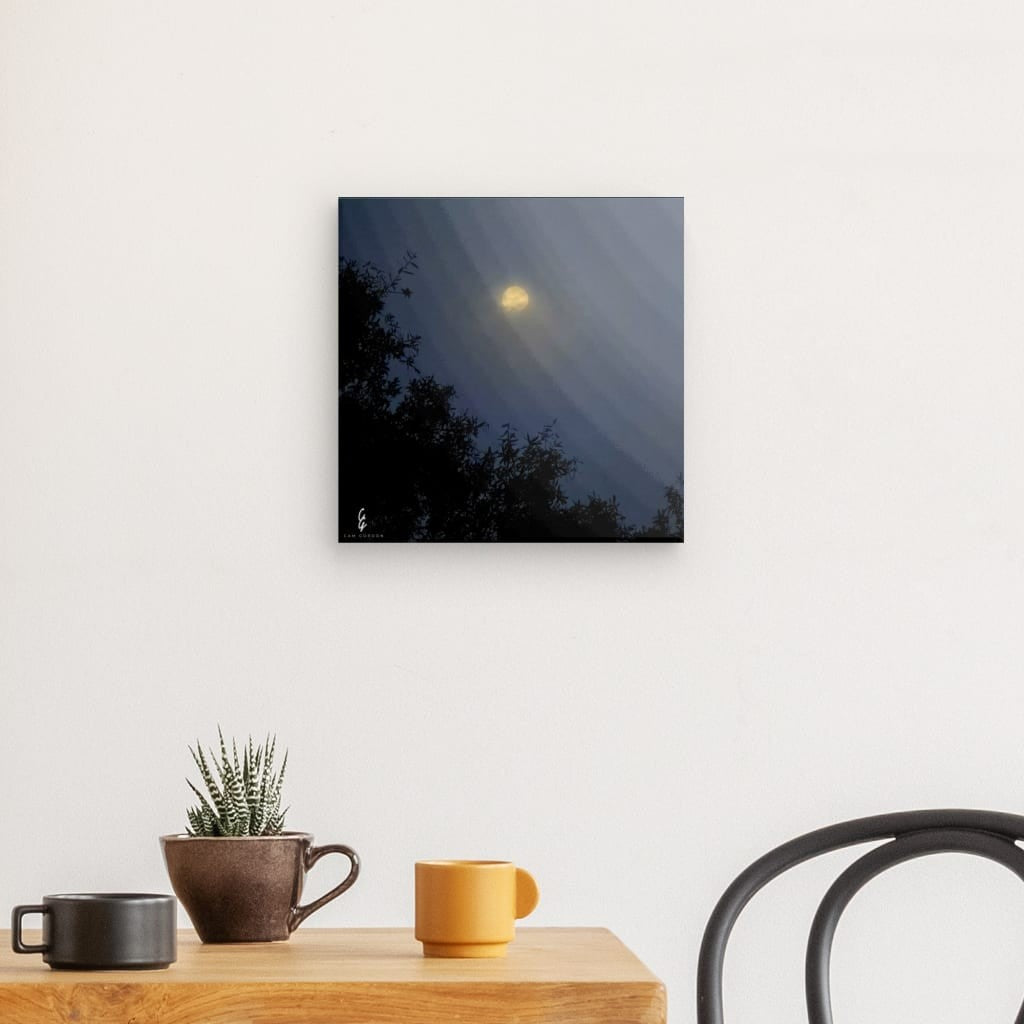 MP.25.029 Canvas