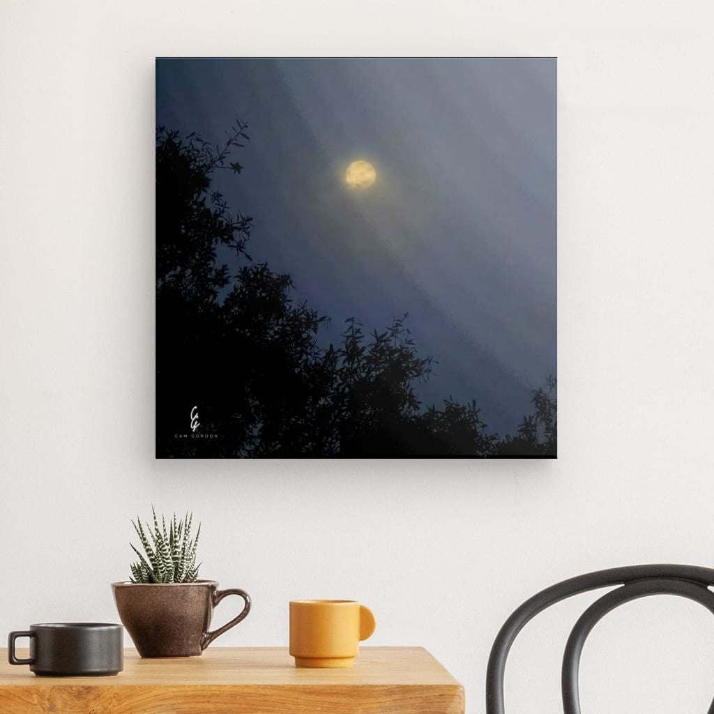 MP.25.029 Canvas