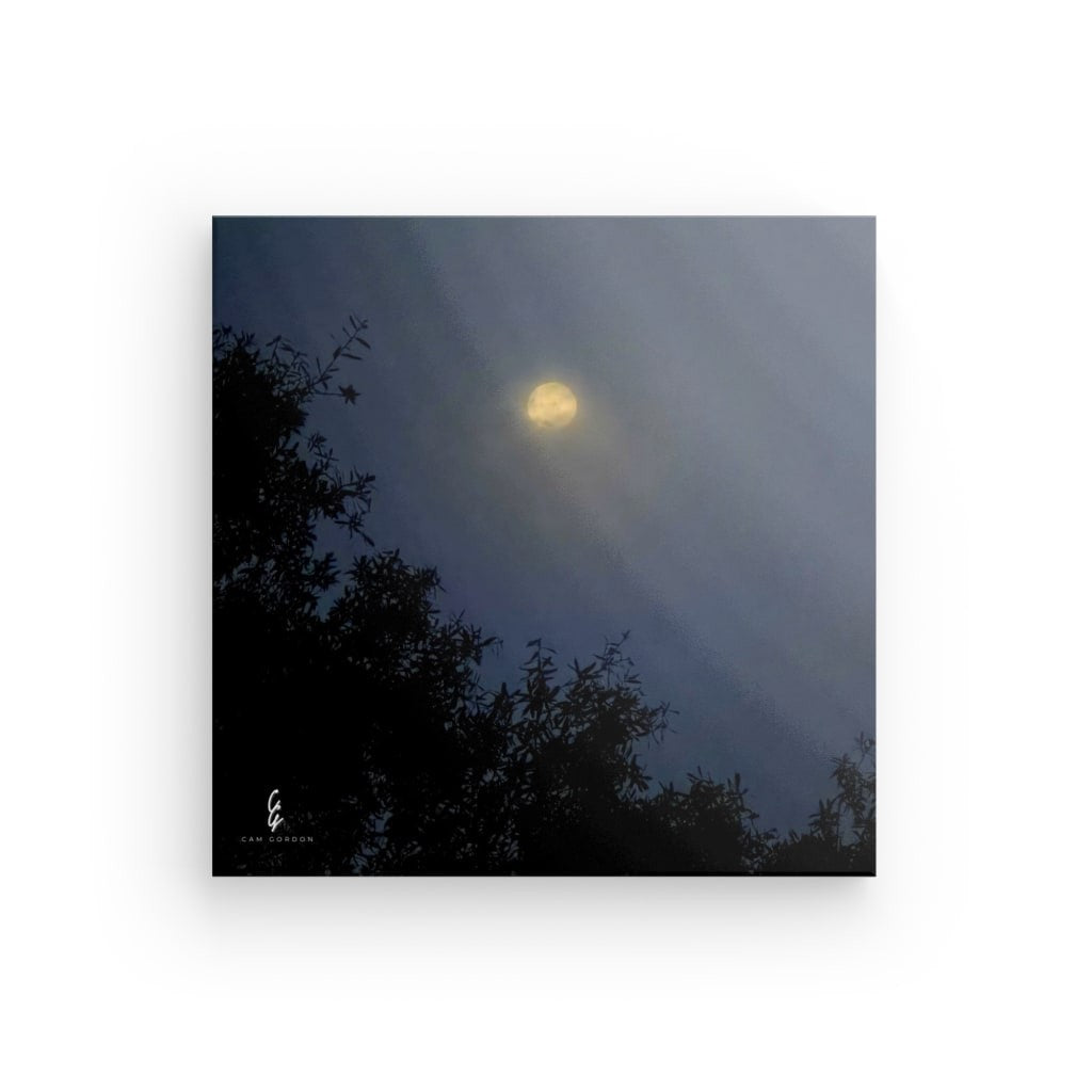 MP.25.029 Canvas