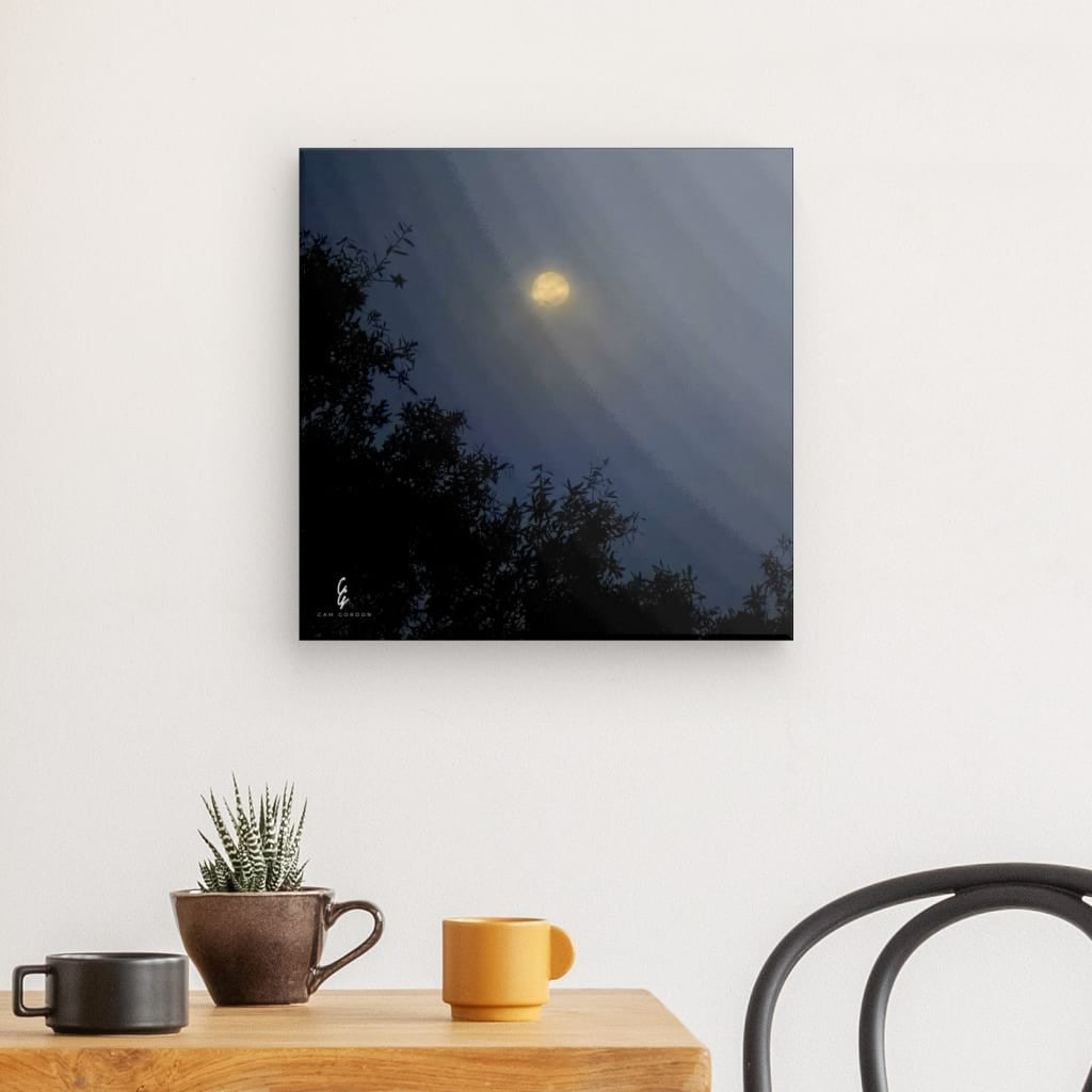 MP.25.029 Canvas